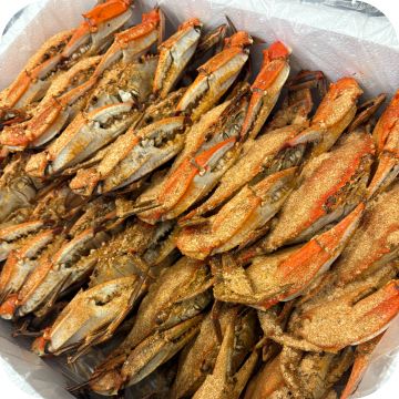 Maryland Colossal Male Blue Crabs (**2 dozen**)